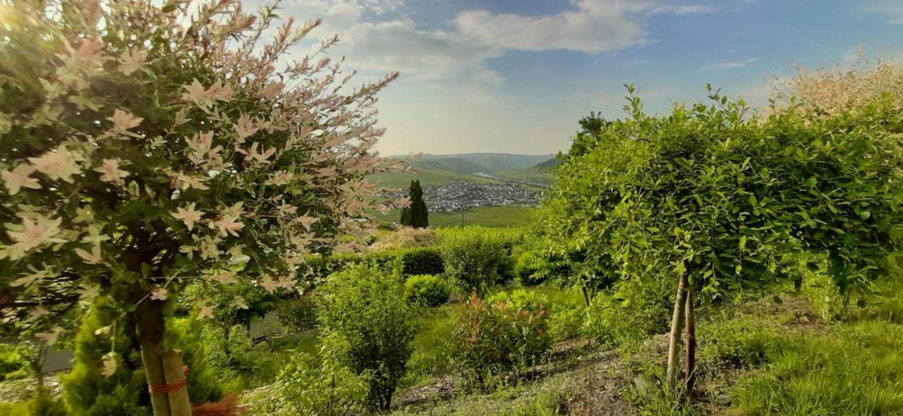 Casa La Vino Διαμέρισμα Leiwen Εξωτερικό φωτογραφία