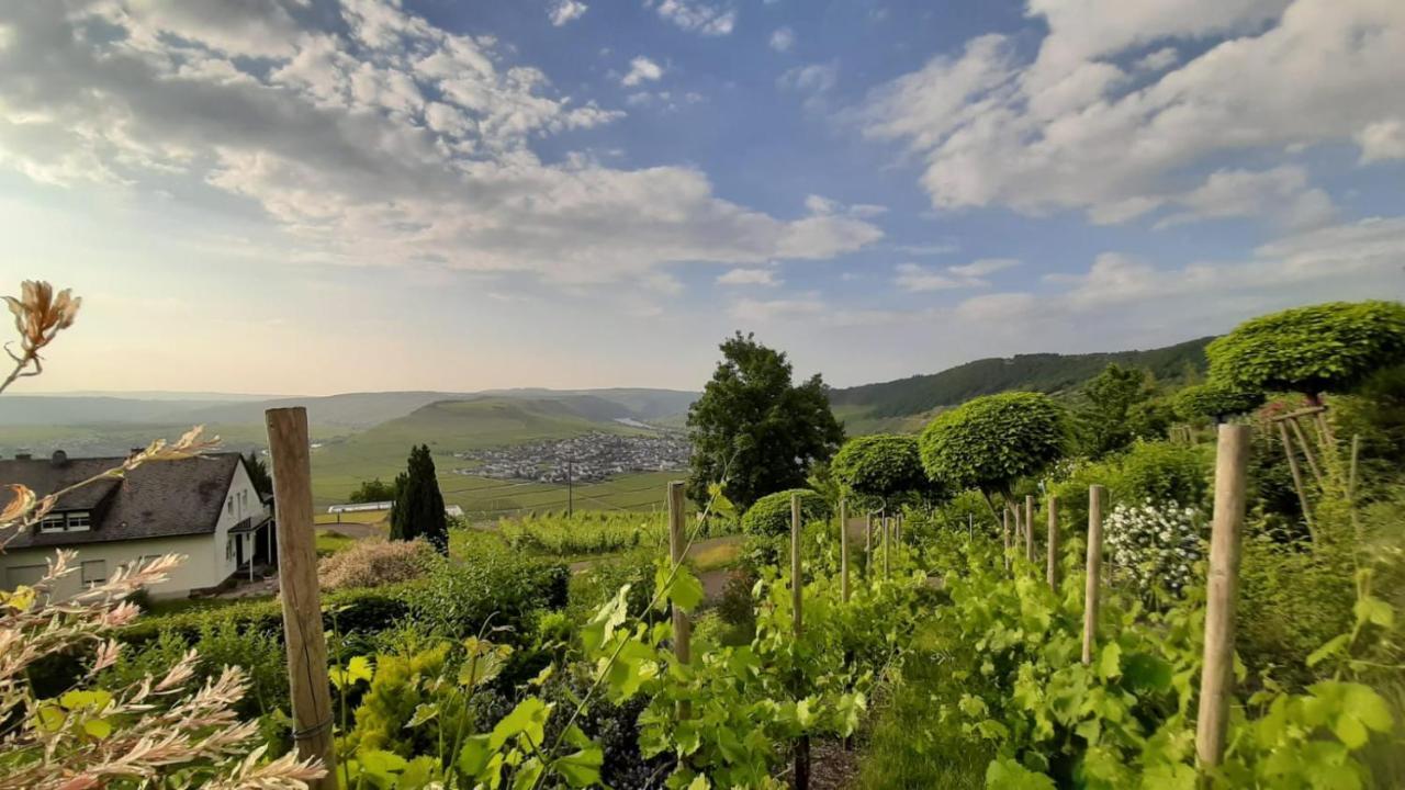 Casa La Vino Διαμέρισμα Leiwen Εξωτερικό φωτογραφία