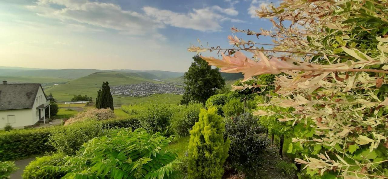 Casa La Vino Διαμέρισμα Leiwen Εξωτερικό φωτογραφία