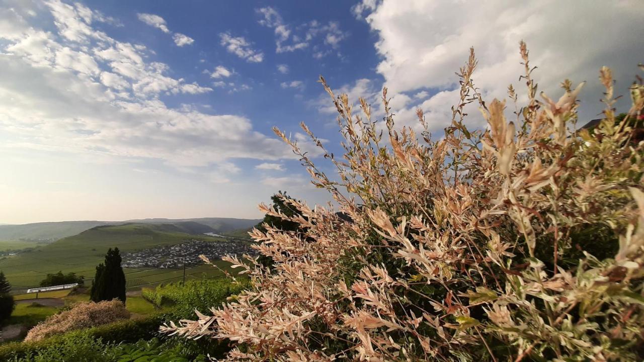 Casa La Vino Διαμέρισμα Leiwen Εξωτερικό φωτογραφία